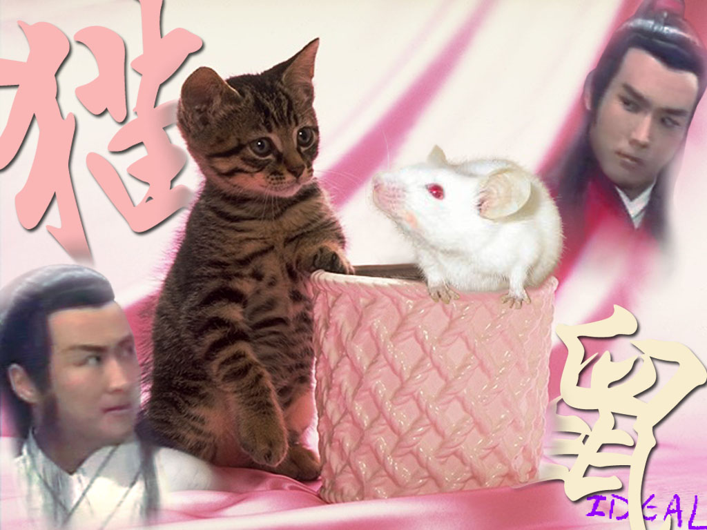 ~猫猫鼠鼠的壁纸~（改成了附件的形式~~）